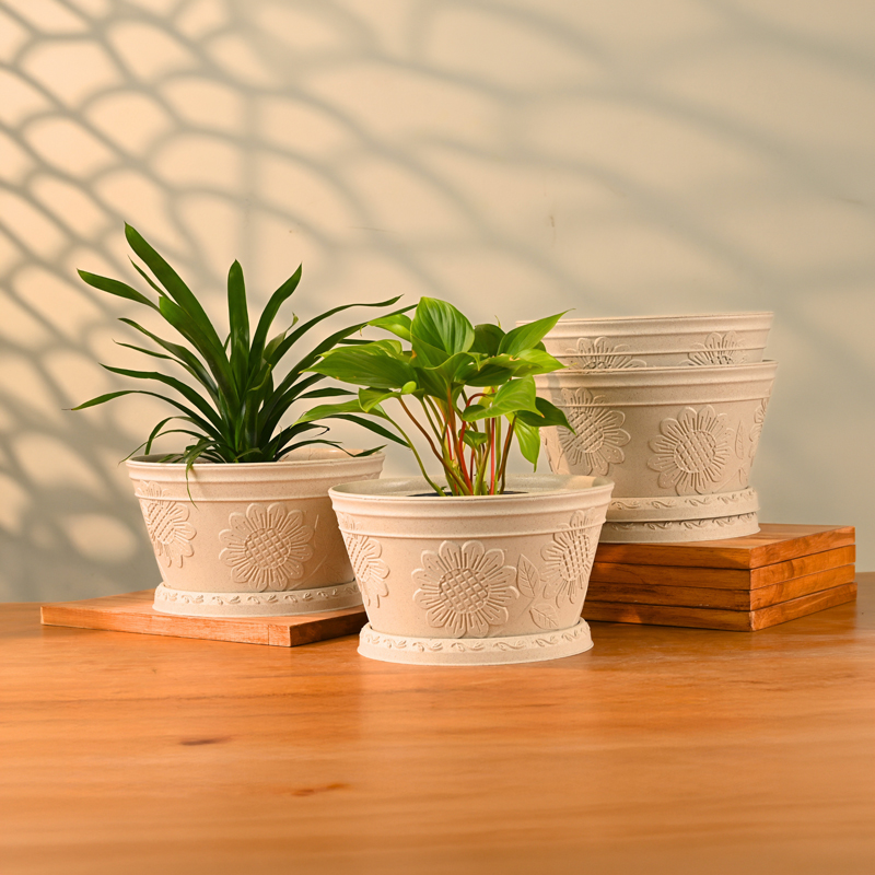 Royal Bloom Rice Husk Planter - Set of Four