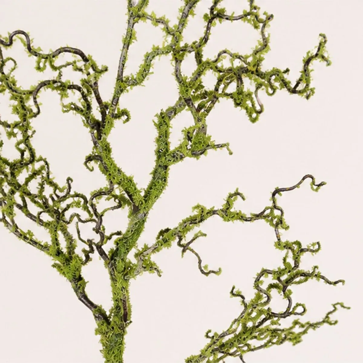 Close-up of green artificial curly willow branches with tightly curled stems