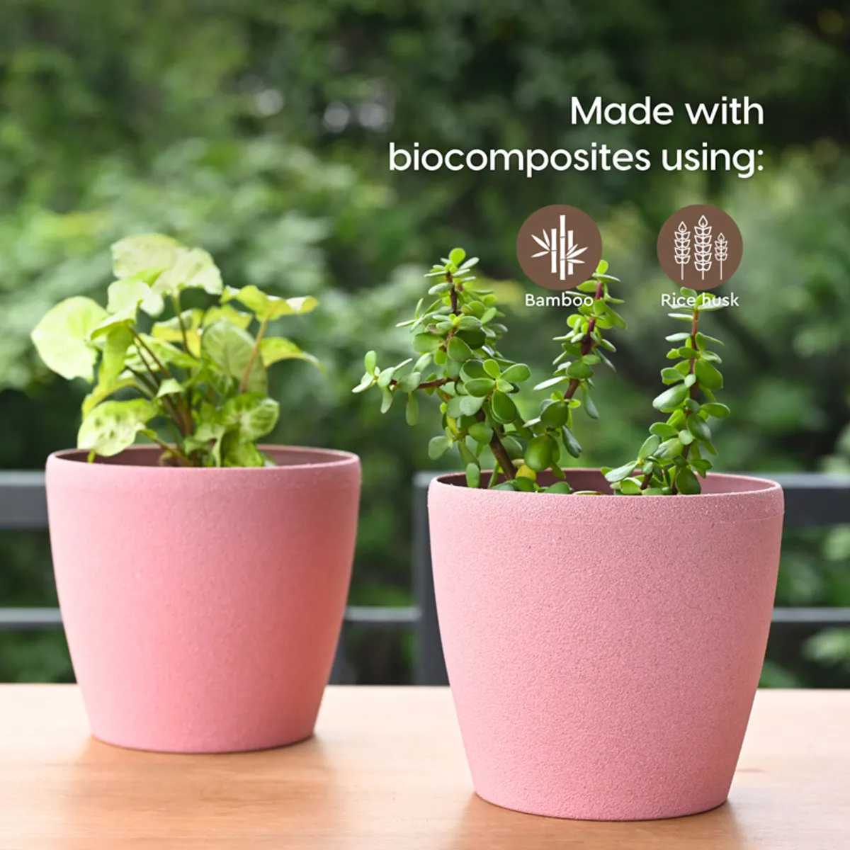 Two pink textured planters with green plants outdoors