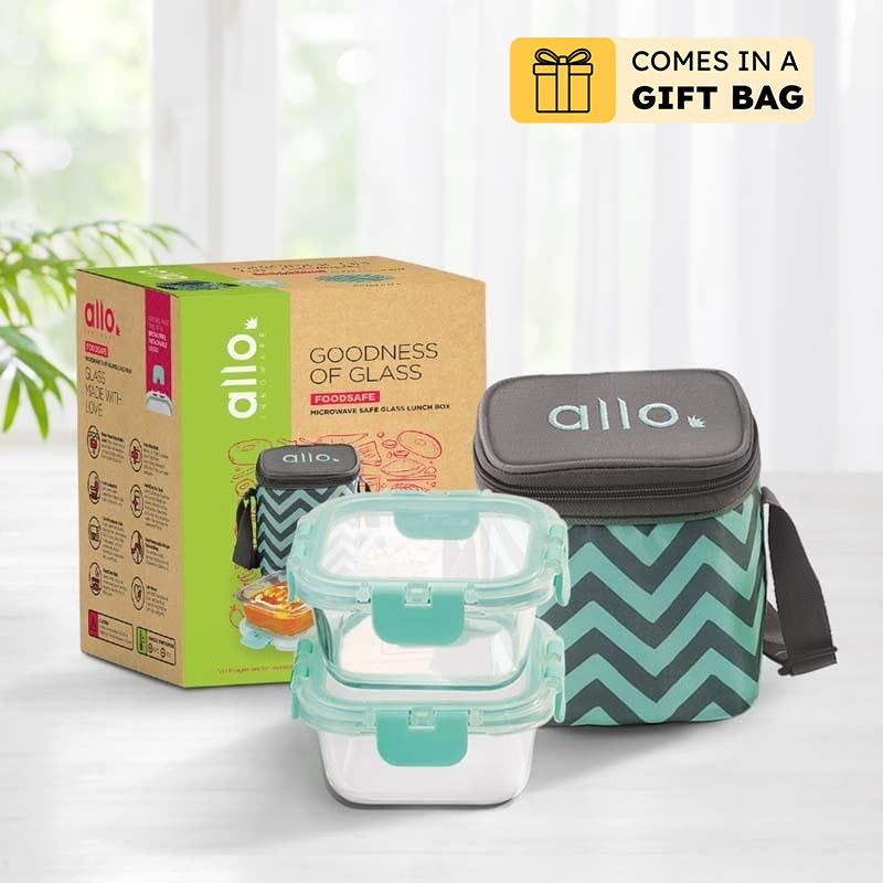 Jonas Lunchbox With Square Chevron Bag (310 ML) - Set Of Two - 310 ML