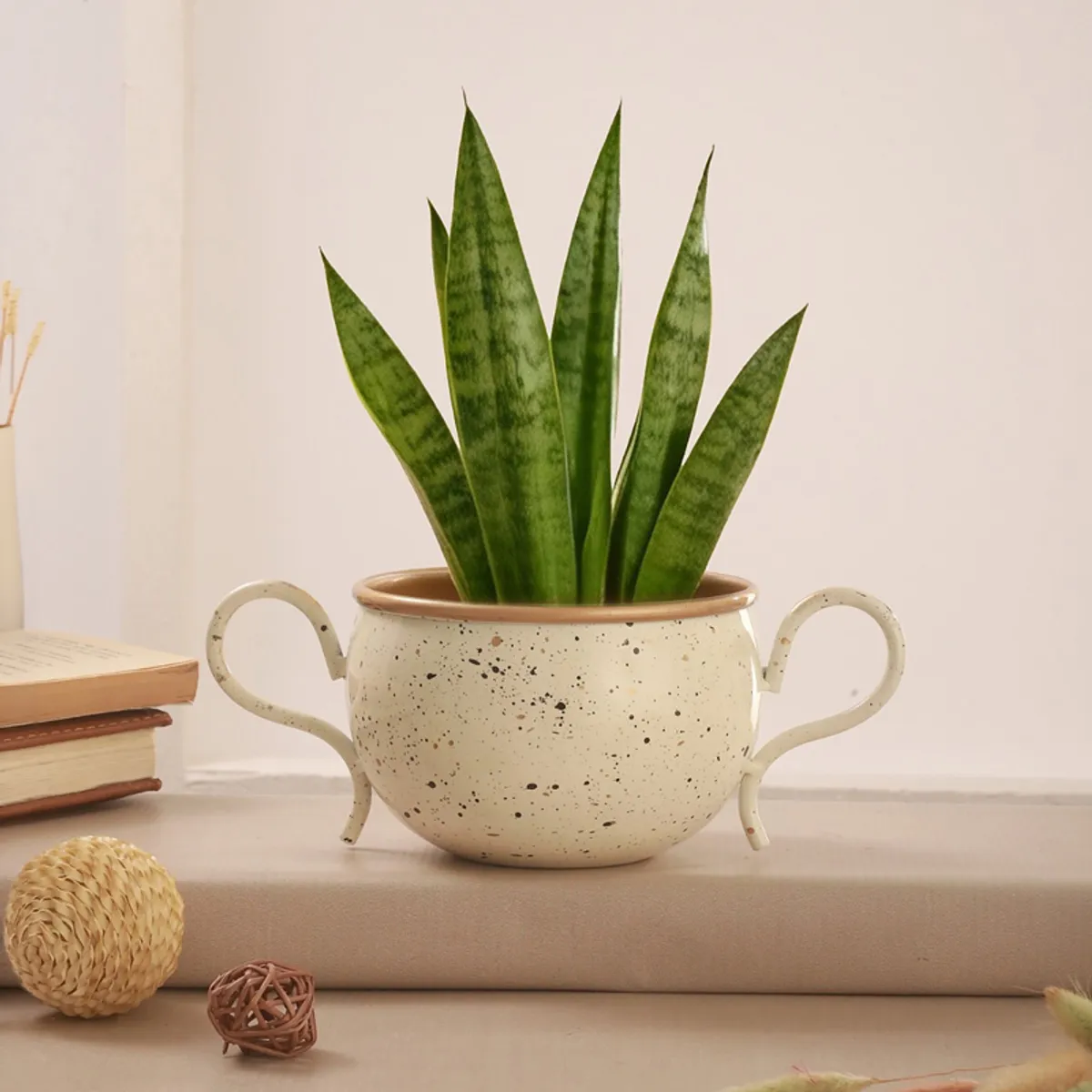 White and gold planter holding a tall green plant on a console