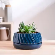 Pots & Planters category