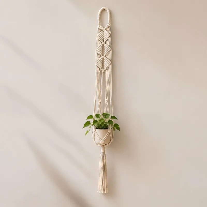 Single macrame plant hanger holding a small potted plant against a beige wall
