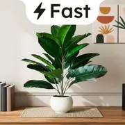 Fast Delivery category