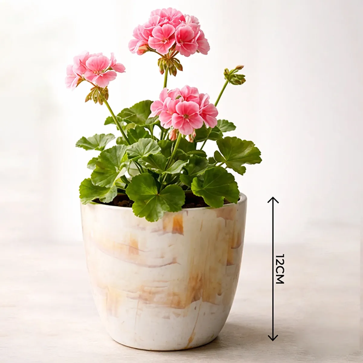 Single off-white planter with pink flowers shown in close-up
