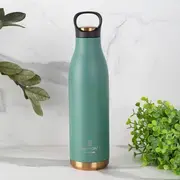 Steel Bottle category