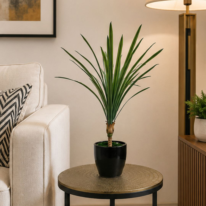 35 cm (1.1 ft) LeafLoom Artificial Dracaena Marginata Plant