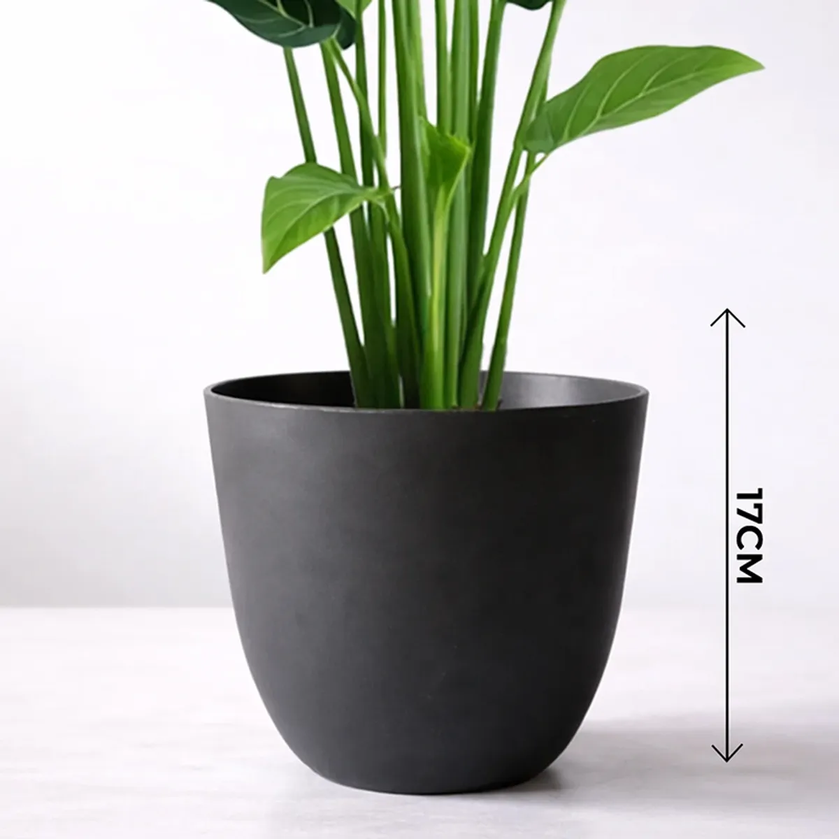 Close-up of a black matte cylindrical planter with green stems