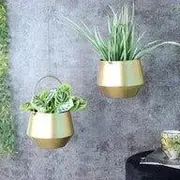 Plant Hangers category