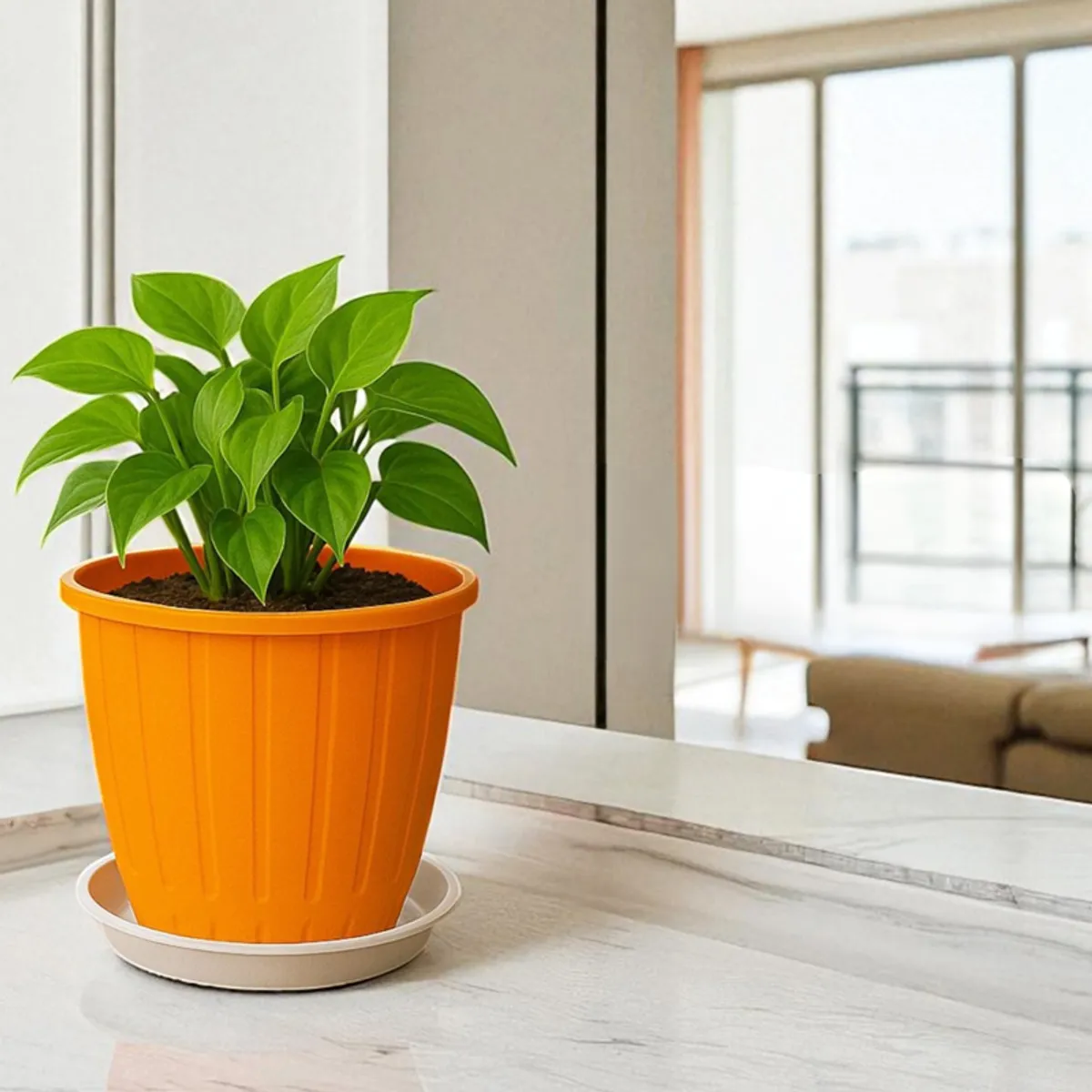 Orange planter with a leafy green houseplant and white drip tray indoors