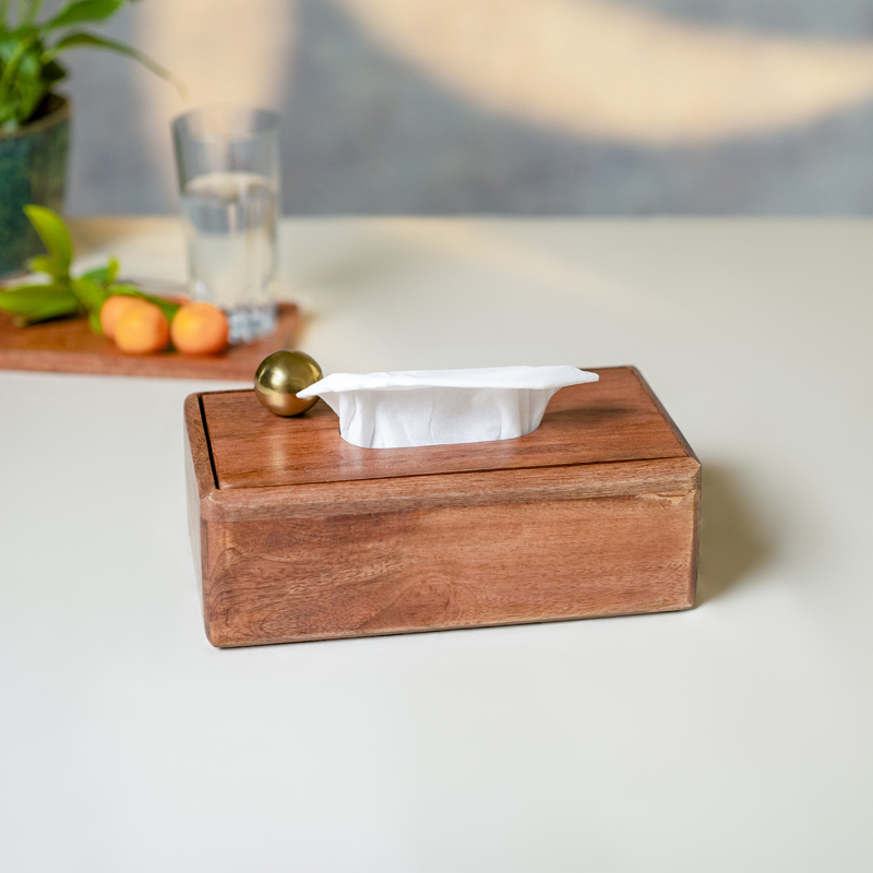 Walnut Heritage Mango Wood & Steel Tissue Holder - Brown