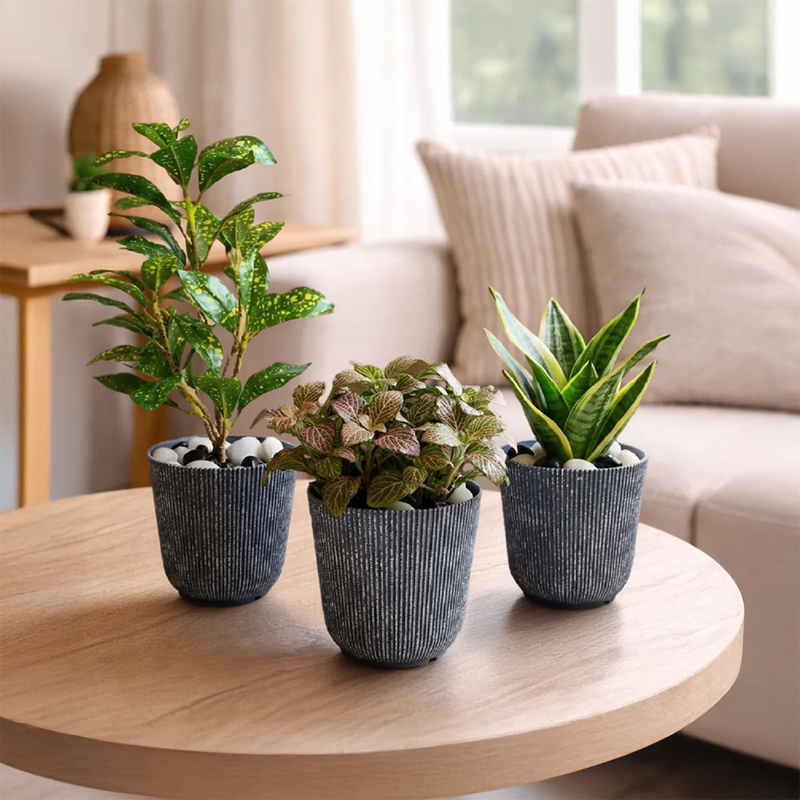 Evergreen Serene Planter - Set of Three