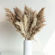 Dried Flowers category