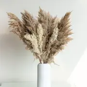 Dried Flowers category