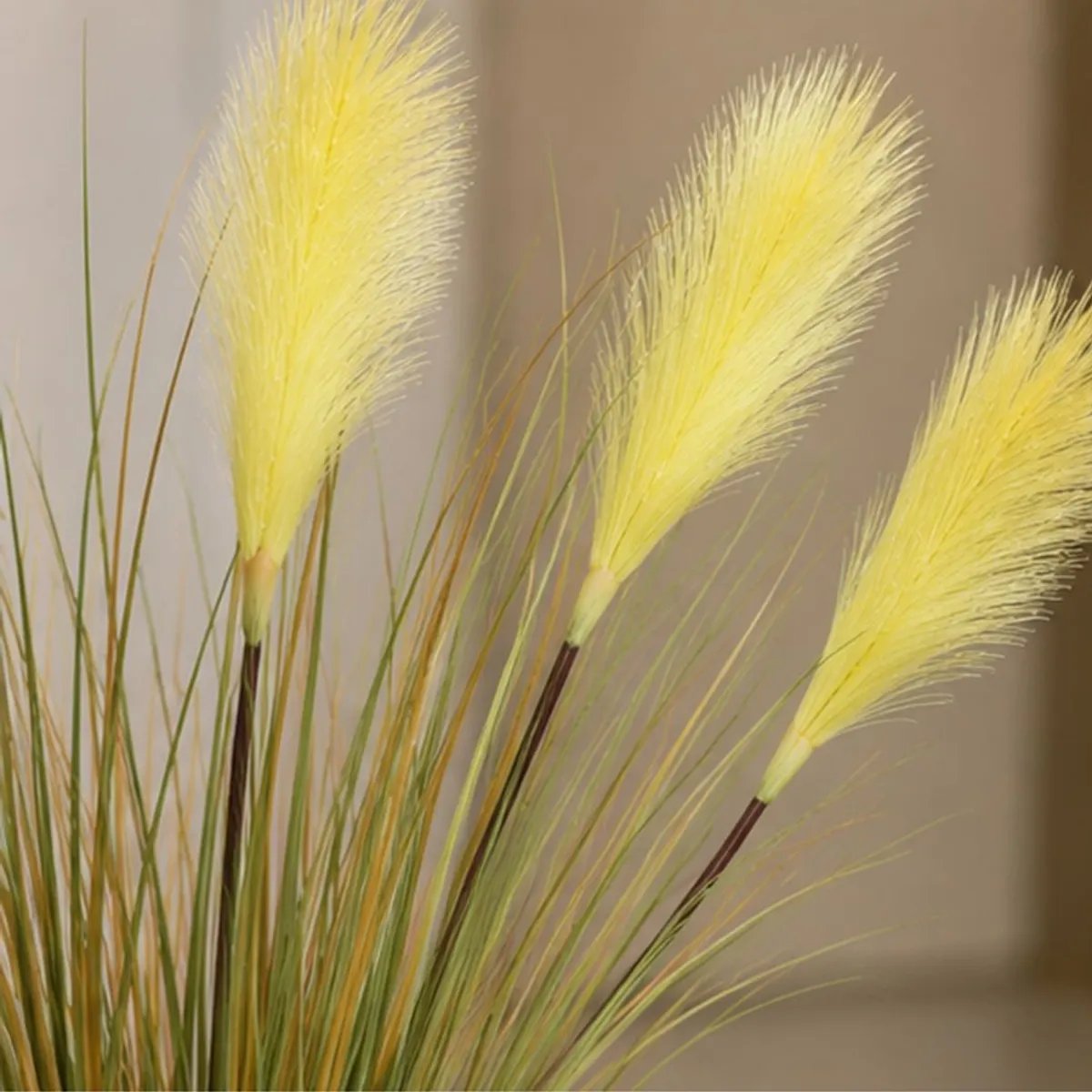 Close-up of fluffy yellow pampas-style plumes with fine green stems