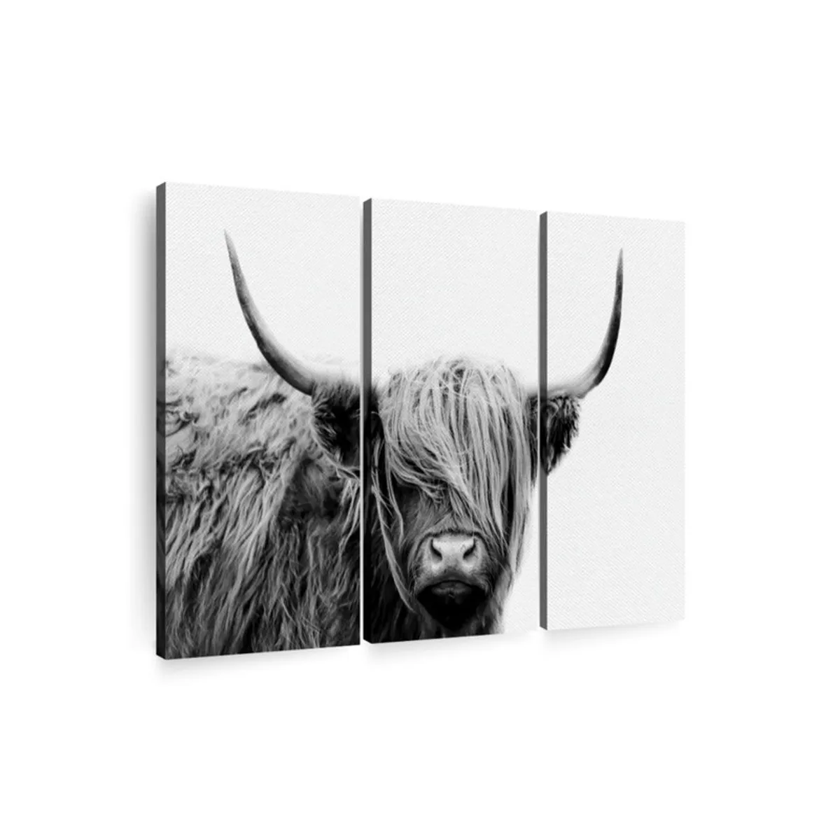 Angled view of a three-panel Highland bull canvas wall painting