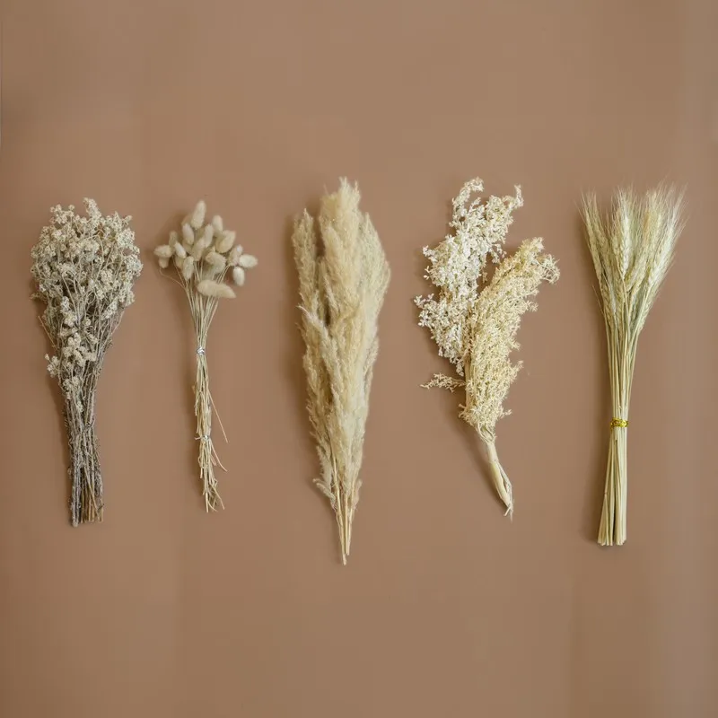 Five beige dried flower arrangements shown separately against a warm brown background.