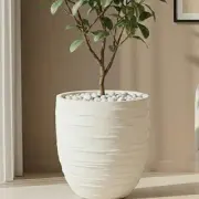 Pots & Planters category
