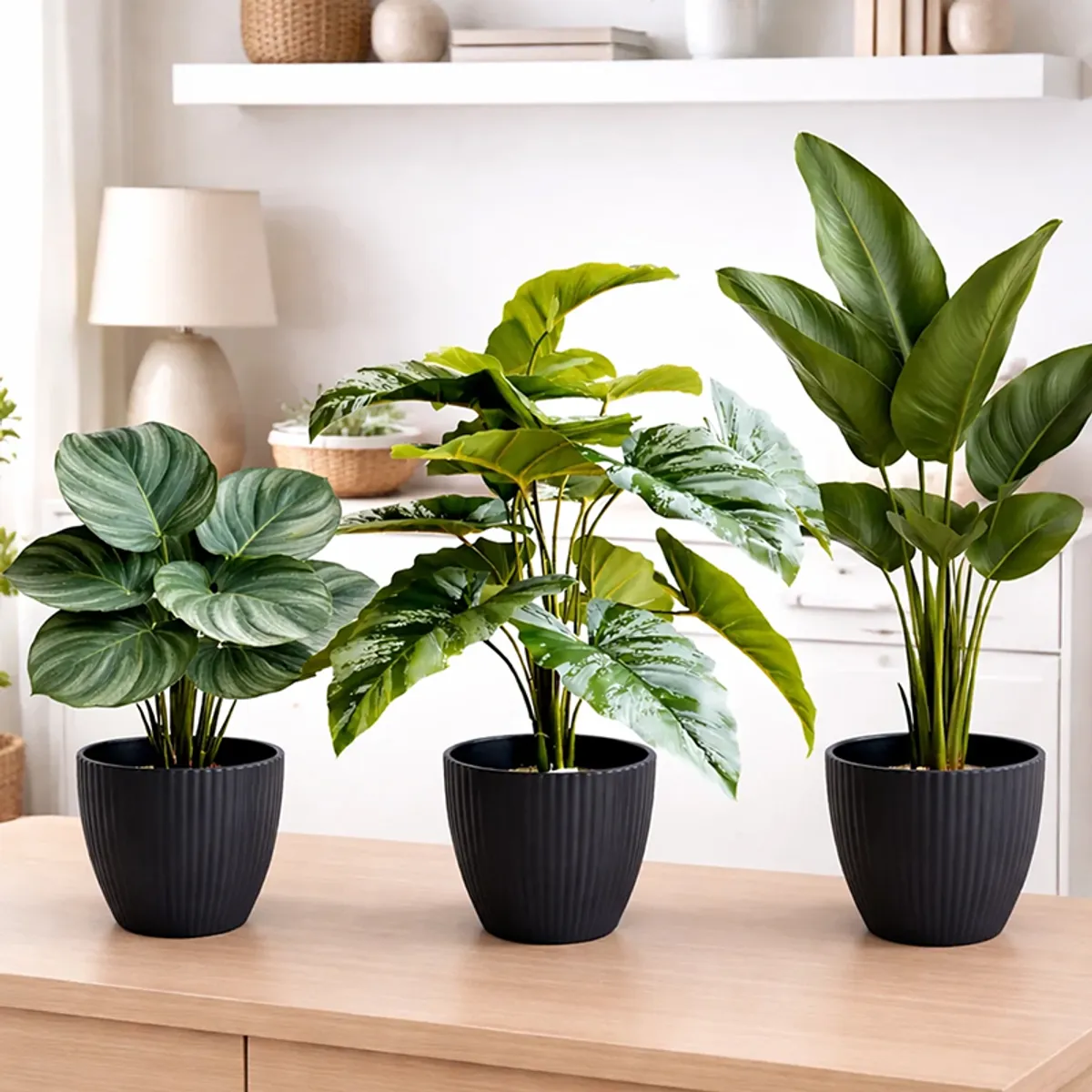 Three black ribbed planters with green foliage styled on a wooden console
