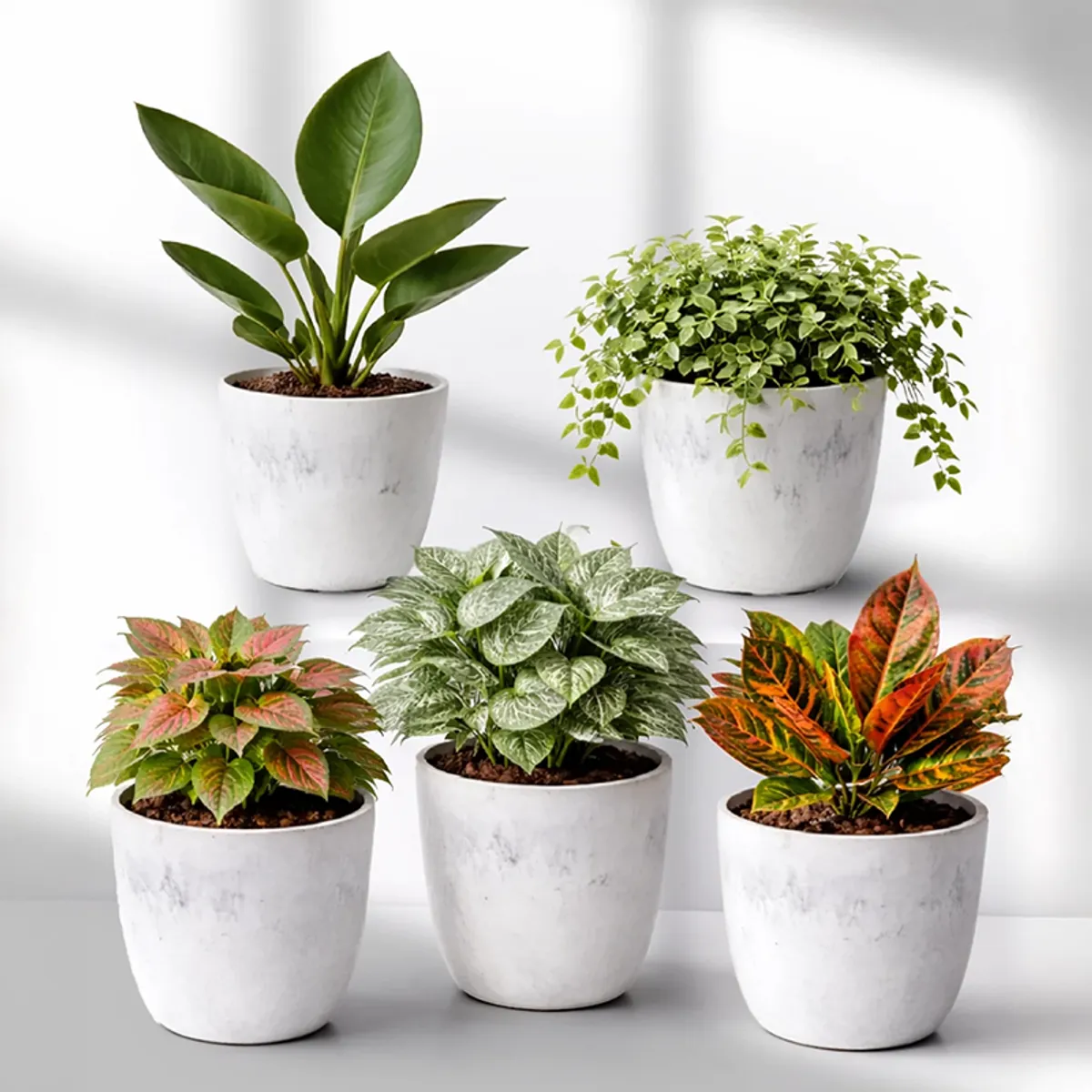 Set of five white cylindrical planters with assorted foliage against a plain backdrop
