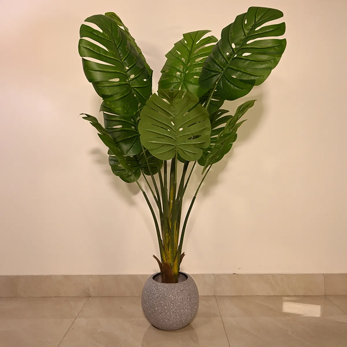Tall green leaves displayed in a round grey speckled planter
