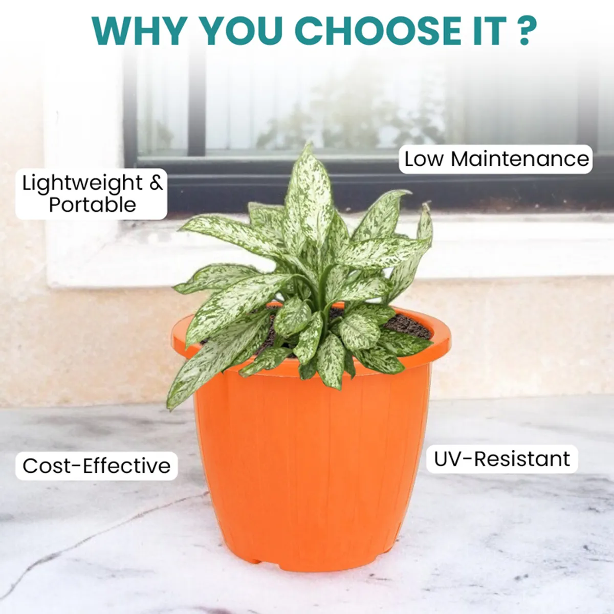 Orange planter with a leafy plant shown alongside low-maintenance text.