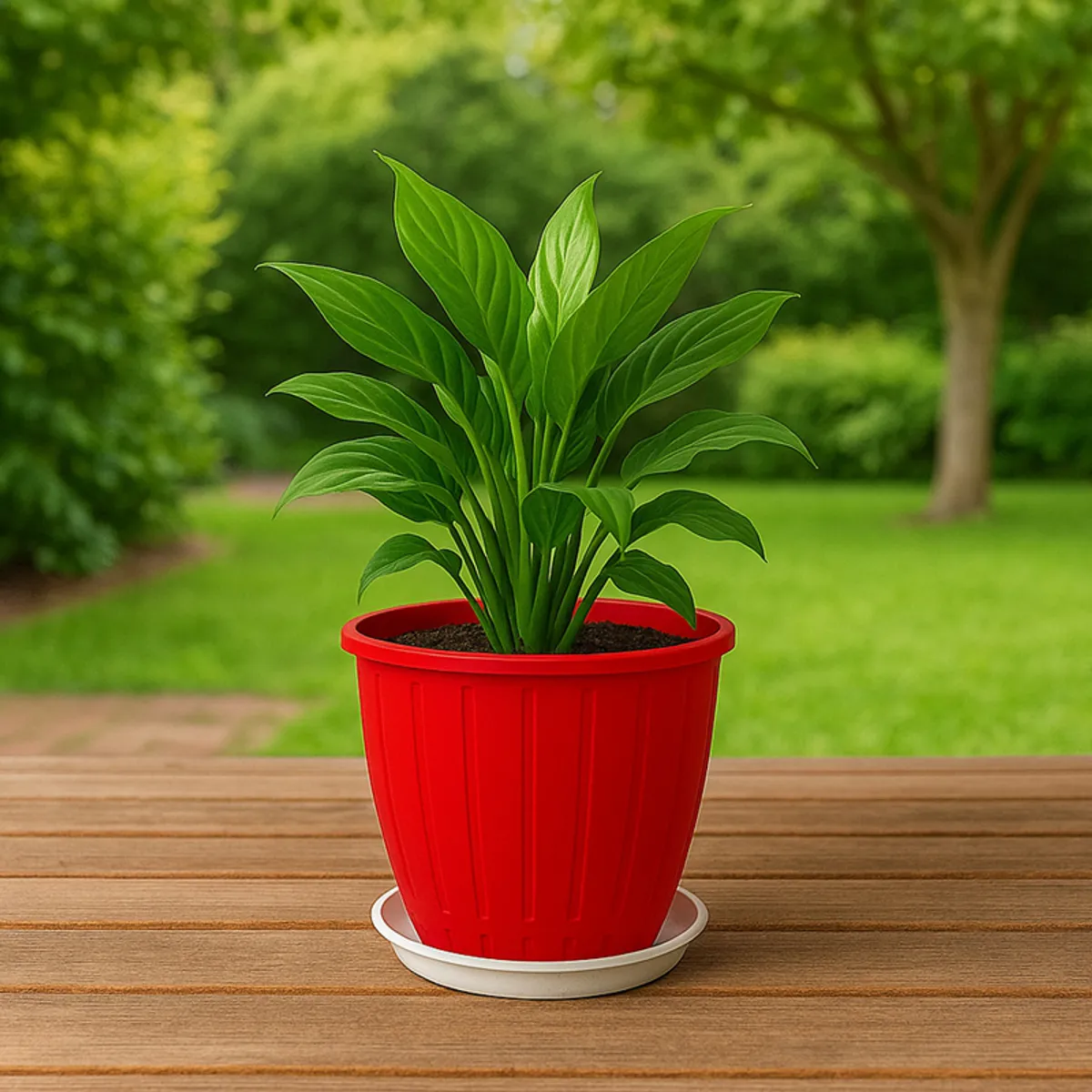 Red planter with a green plant and white tray on an outdoor wooden surface.