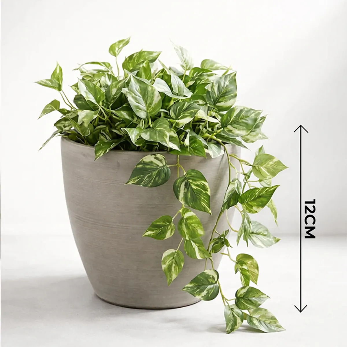 Grey planter with trailing green leaves against a plain backdrop