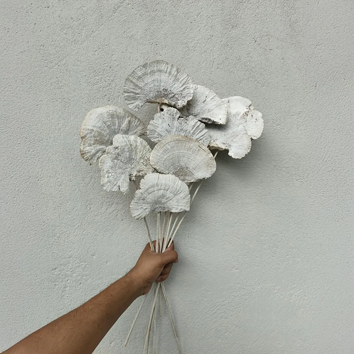 Palm Spear Sola Wood Artificial Flower (Beige) - Set of Ten