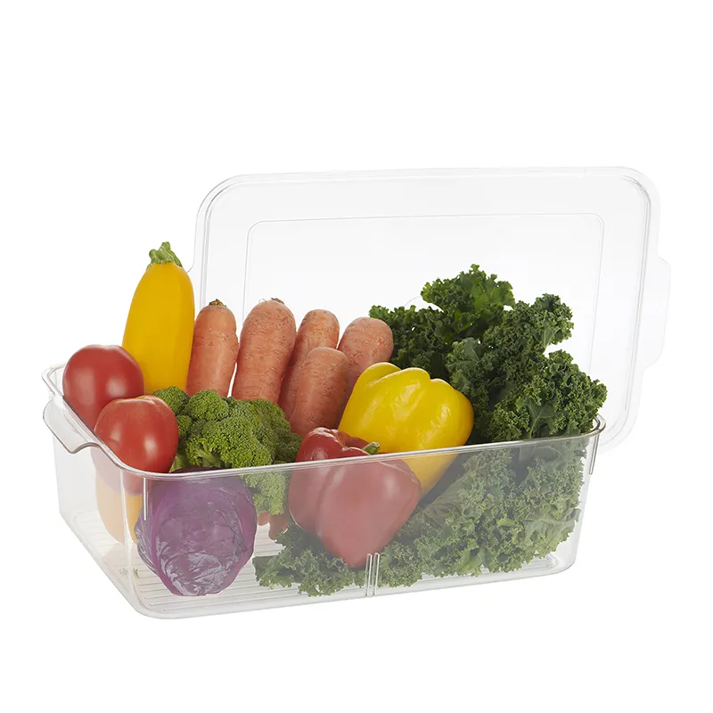 Clear organiser filled with vegetables and lid open