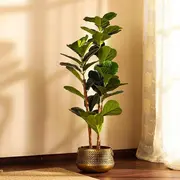 Artificial Plants category