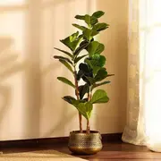 Artificial Plants category