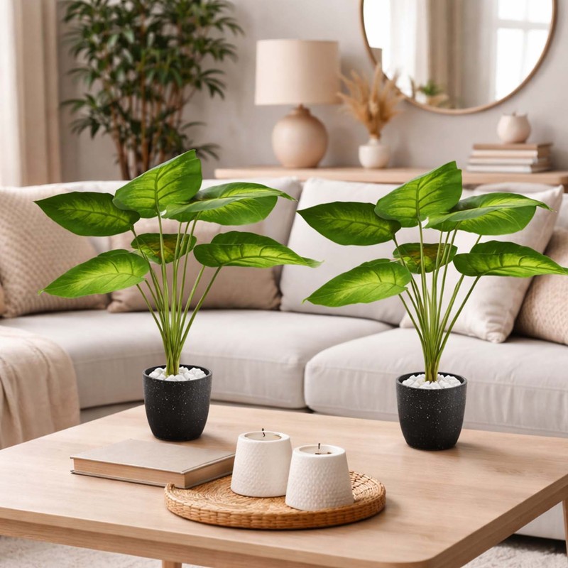 Tropical Tranquility Faux