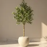 Medium Plants category