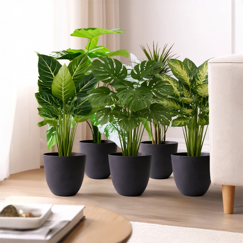 Set of Five