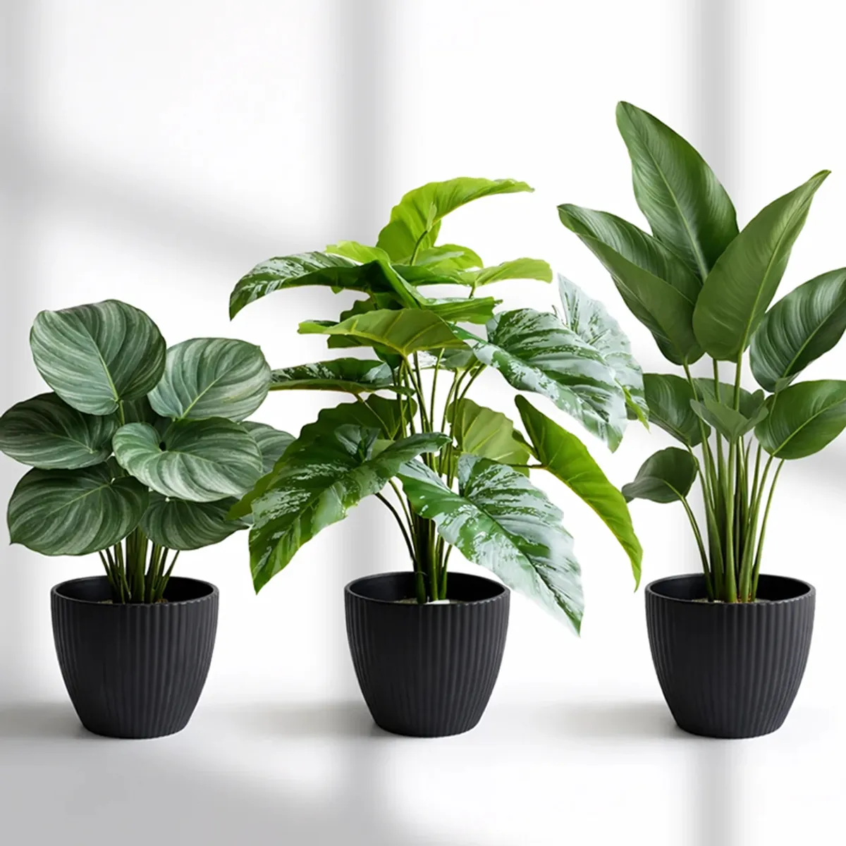 Set of three black ribbed planters with leafy green plants against a plain backdrop