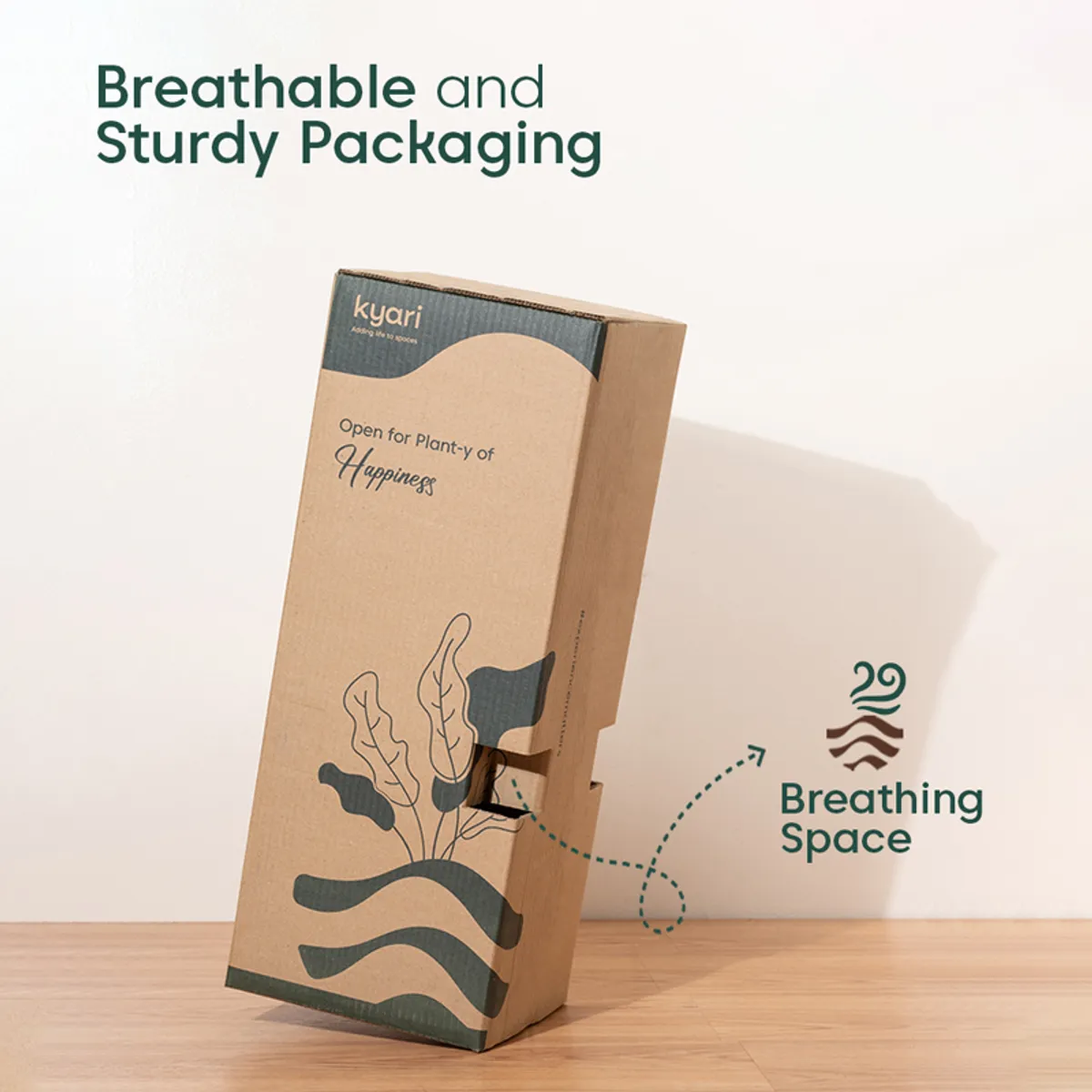 Monstera plant shown in breathable protective packaging