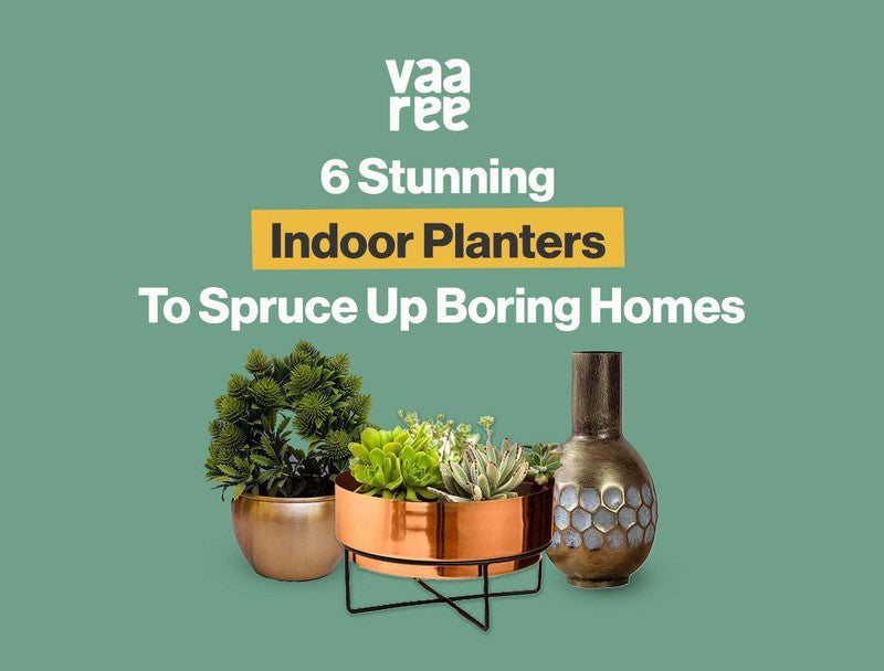 Top 6 Decorative Indoor Pots & Planters For Your Home