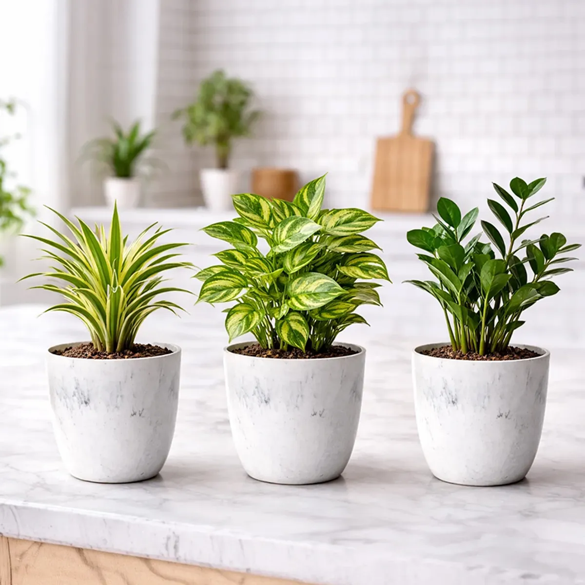 Three white cylindrical planters with green foliage on a marble counter