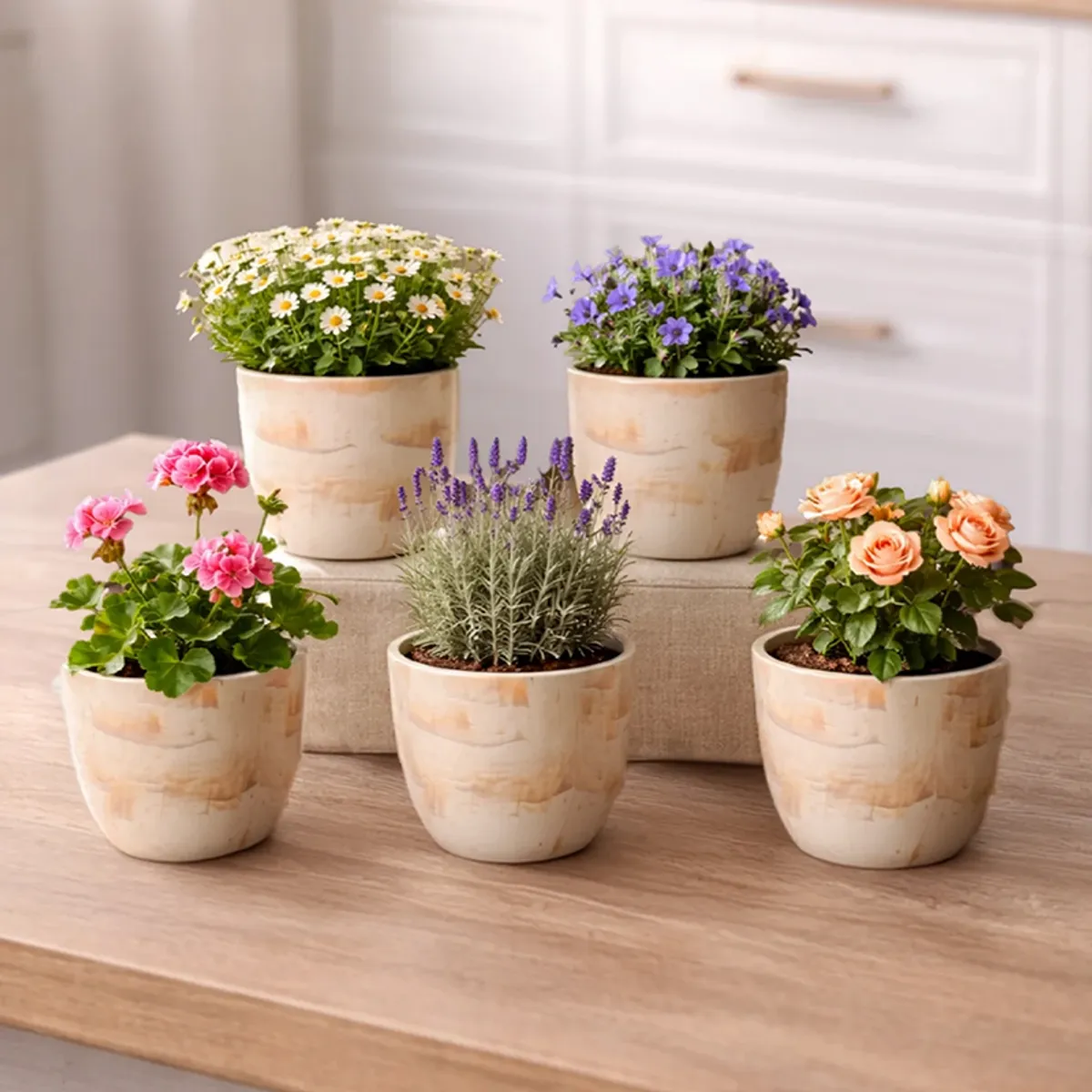 Off-white planter set of five displayed together with flowering plants indoors