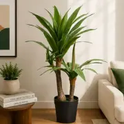 Medium Plants category