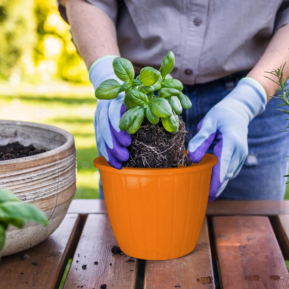 Orange planter being filled with a small green plant outdoors