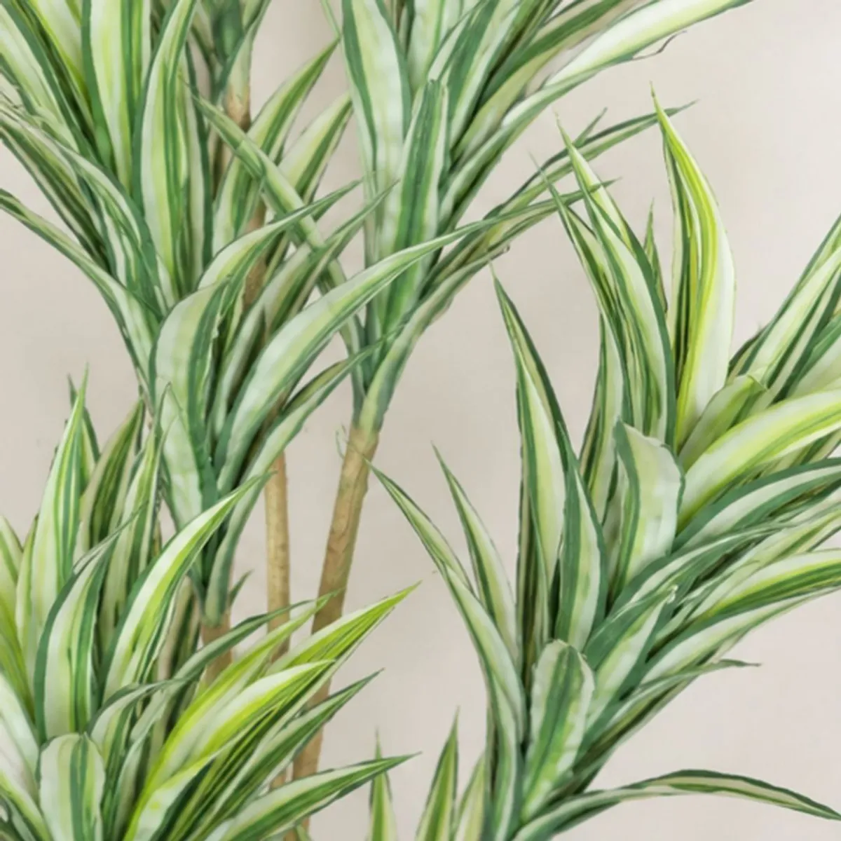 Close-up of variegated green and cream artificial dracaena leaves and stems