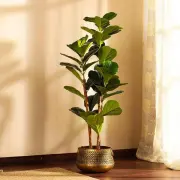 Artificial Plants category