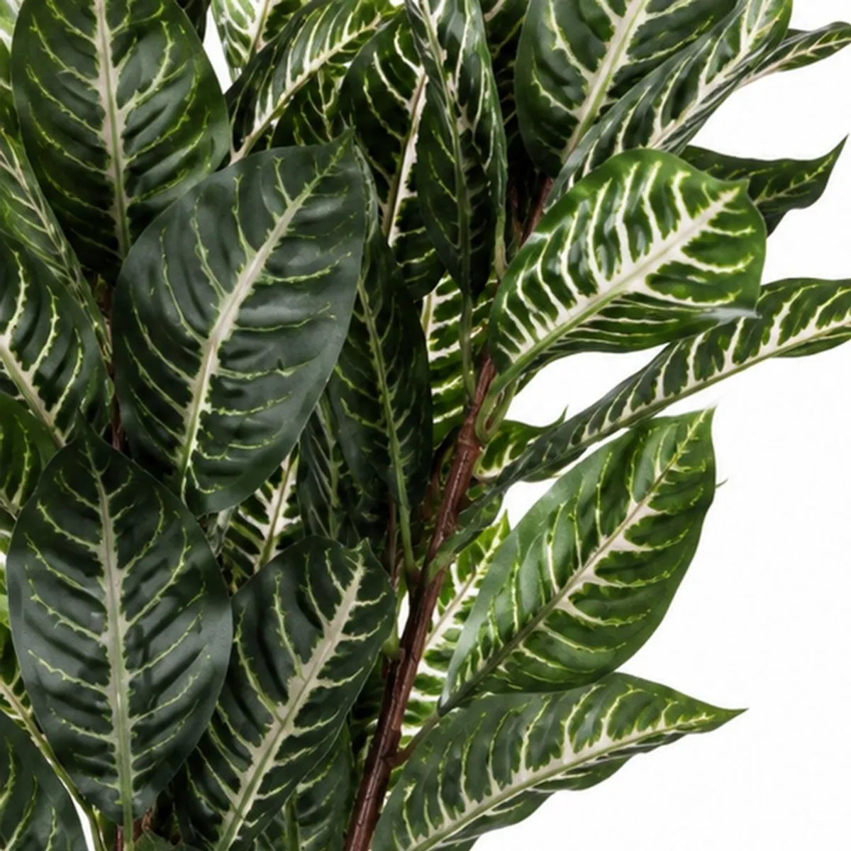 Close-up of dark green artificial leaves with light cream variegated vein patterns