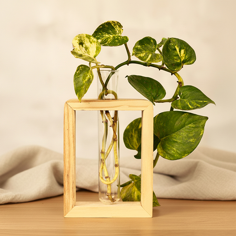 Luminous Grove Vessel Wooden Planter