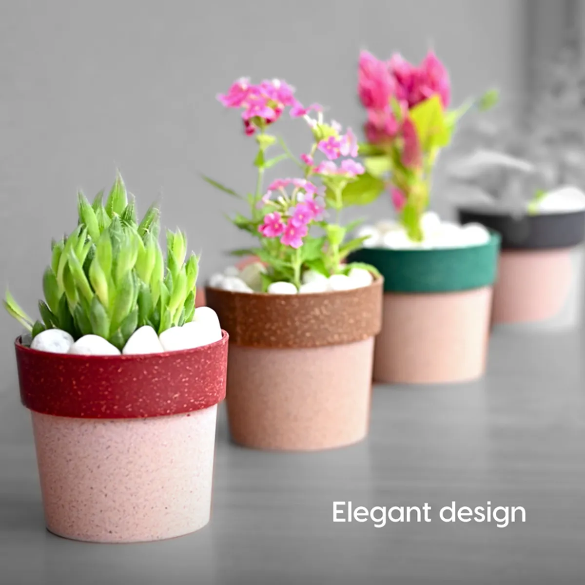 Row of small multicolour textured planters styled with plants