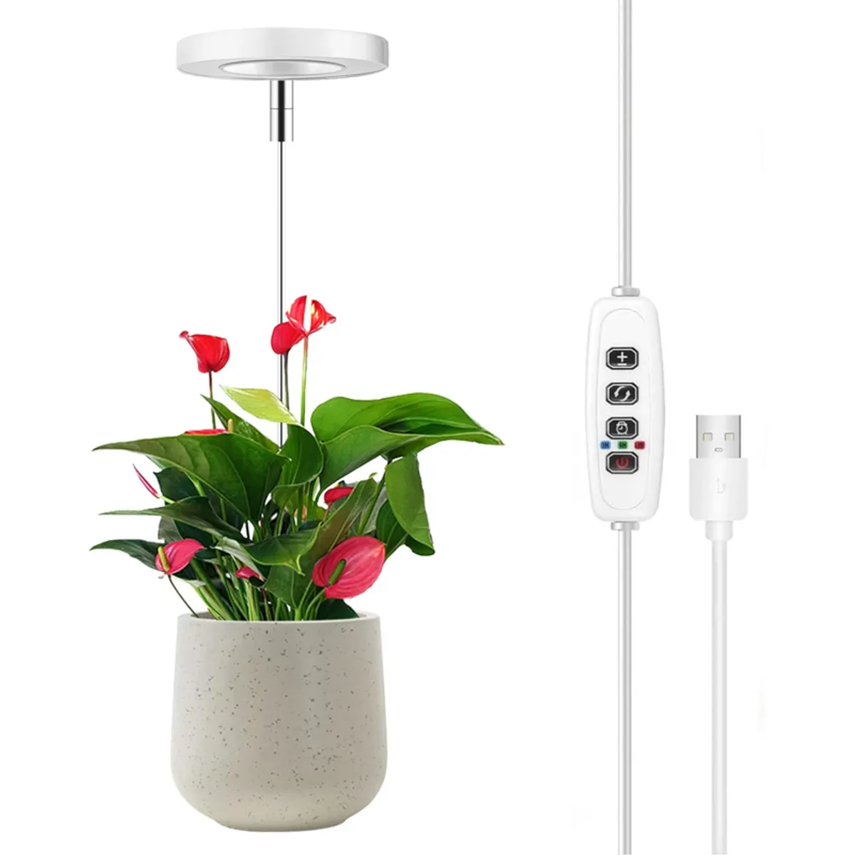 White ring grow light shown with a flowering potted plant and wired controller