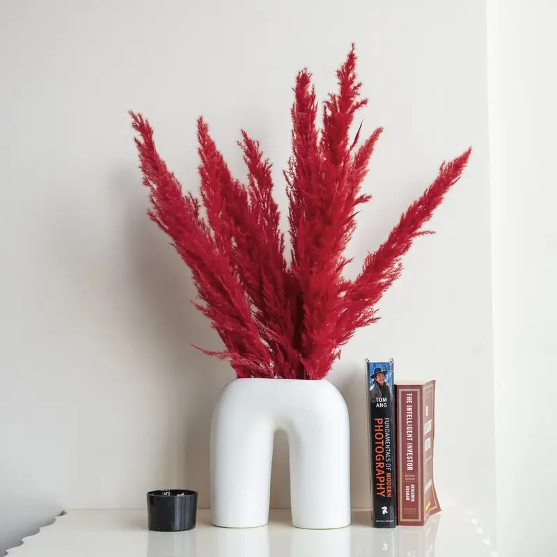 Vibrant Dried Grass Sticks - Set of Ten
