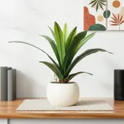 Medium Plants category